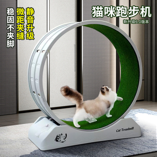 猫咪滚轮跑步机静音小型运动健身减肥不卡夹脚塑料宠物玩具猫爬架
