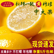 安岳黄柠檬新鲜一级水果5斤中大果多汁不打蜡四川柠檬坏包赔