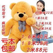 毛绒玩具泰迪熊猫布娃娃抱枕，公仔女生1.8抱抱熊，2米1.6大熊超大号c
