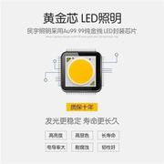 北欧小射灯led轨道灯三色变光7W15W家用客厅餐厅过道背景墙导轨灯