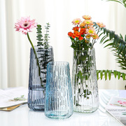 透明欧式简约创意玻璃花瓶插花瓶客厅水养富贵竹鲜花大号花瓶摆件
