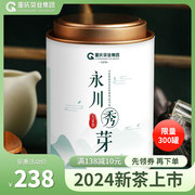 永川秀芽绿茶叶头采明前高山春茶2024新茶毛尖嫩芽云雾绿茶口粮茶