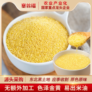 塞翁福有机黄小米(黄小米)杂粮，2023农家小黄米新米东北营养小米粥大黄米