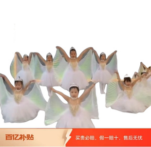 小风筝儿童演出服翅膀，道具小天鹅舞蹈服女童，芭蕾舞蓬蓬裙表演服装