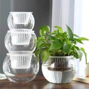 圆球形小号透明玻璃花瓶鱼缸水养，绿萝花盆桌面，装的筐托盘深接水栽