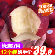 新西兰进口红玫瑰苹果12枚装 新鲜qyeen水果脆甜当季萍果