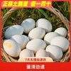农家散养鹅蛋正宗新鲜土鹅蛋孕妇去胎毒超大鹅蛋12枚140-160克/个
