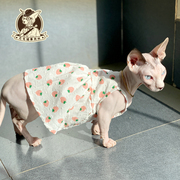 猫咪衣服薄款无毛猫斯芬克斯德文幼猫吊带背心小草莓连衣裙