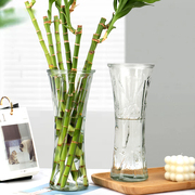 富贵竹花瓶客厅家用简约玻璃花瓶大号透明圆形插花瓶居家装饰摆件