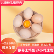 九华粮品散养土鸡蛋，农家散养新鲜正宗草鸡蛋柴鸡蛋月子蛋整箱