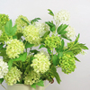 雪球花欧式美式仿真绣球花，白色绿色高品质，客厅样板间装饰摆设假花