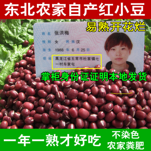 2023新货东北红豆500g五谷杂粮豆子，农家自产红小豆赤小豆红豆沙红