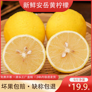 柠檬新鲜四川安岳黄柠檬(黄柠檬)尤力克新鲜水果，薄皮多汁奶茶商用一二三级