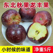 东北龙丰果大秋果5斤装黑龙江特产小苹果海棠果沙果新鲜水果