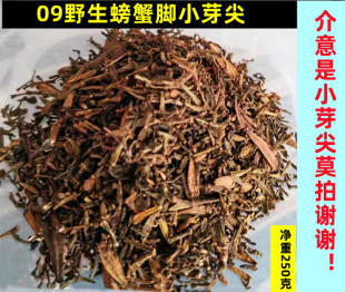 09年螃蟹脚野生茶，古树甘仓纯料，散茶普洱批零散装