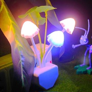 光控七彩小夜灯荷叶蘑菇带开关LED节能灯插电小夜灯