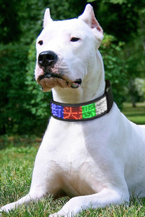 上市防丢失宠物LED项圈 充电式LED发光项圈 狗狗LED宠物颈圈