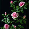 仿真玫瑰花假花藤条绿植，塑料藤蔓植物，室内空调管道遮挡装饰墙壁挂