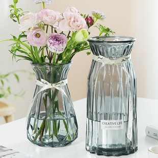 二件套北欧居家装饰玻璃花瓶透明水养富贵竹百合客厅插花摆件