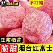 苹果烟台红富士新鲜水果山东栖霞萍果冰糖心10礼盒装