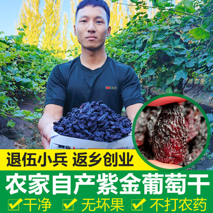 新疆特产紫金葡萄吐鲁番自然风干特级免洗果干500g零食葡萄干