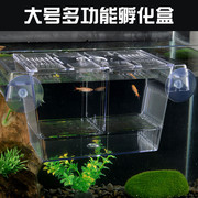 鱼缸孔雀鱼孵化器繁殖盒亚克力隔离盒热带鱼孵化盒产卵器斗鱼隔离