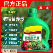 植物营养液通用型家用养花卉，绿萝水培绿植多肉盆栽发财树液体肥料