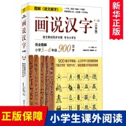 画说汉字(小学版5-6年级)图解说文解字五六年级，课外书小学生课外阅读书籍汉字，的故事小学语文教材辅导书学习资料儿童读物正版