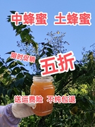 广东冬蜜蜂蜜中蜂蜜土蜂蜜百花蜜农家蜜纯天然零添加美容保健