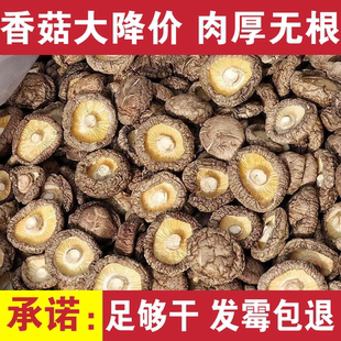 伏牛山鲜香菇蘑菇菌菇火锅涮菜蔬菜农家特产小香菇冬菇自种食用菌