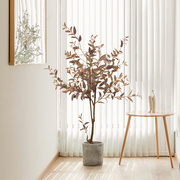 绿植装饰橄榄树侘寂客厅，假树落地假花摆设