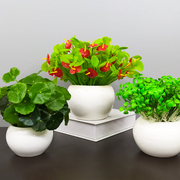 仿真花塑料假花陶瓷绿植物，装饰品客厅家居桌面摆设，多肉小盆栽摆件