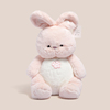 可爱风粉色兔子公仔，超柔软布娃娃玩偶，床上兔抱枕儿童女孩毛绒玩具
