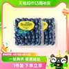 怡颗莓新鲜水果云南蓝莓125g*4/6/8盒中果酸甜口感