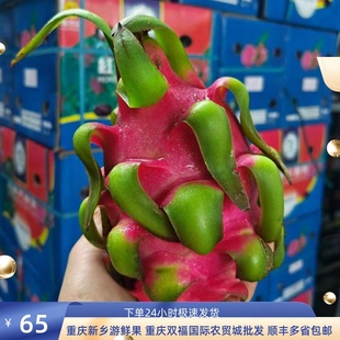越南红心火龙果 10斤整箱当季重庆双福新鲜 进口水果