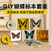 天然琥珀蝴蝶标本制作工具套装材料昆虫动物科学玩具儿童手工diy
