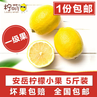 四川黄柠檬 小果 5斤装  安岳柠檬新鲜水果 皮薄多汁坏果包赔