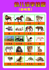 585薄膜海报印制展板喷绘写真642幼儿识字挂图动物类_