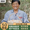 酥方斋土鸡蛋九华山特产，正宗农家散养鸡蛋，新鲜月子柴鸡蛋礼盒50枚