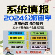 2024csc公派留学攻博联培系统，填报成果摘要，研修计划导师简介润色