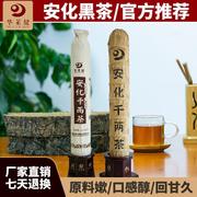 华莱健安化黑茶华莱健千两茶36.25 kg天尖茶金茯茶百两茶荷香