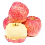 全年供应陕西洛川红富士苹果新鲜水果脆甜多汁苹果代发