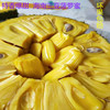 14-17斤海南三亚新鲜水果菠萝蜜现摘直发，非红肉果