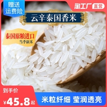 云辛正宗泰国香米一级大米5kg10斤新米长粒软润饱满进口原粮