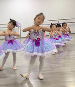 六一儿童演出服幼儿园女童蓬蓬裙表演服紫色亮片舞蹈服可爱公主裙