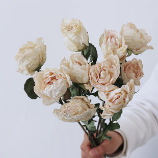 稀有白色玫瑰干花天然真花大花苞，家居装饰插花高端花材女神节礼物