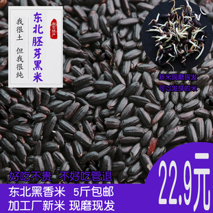 5斤东北黑米杂粮新米紫米大米，黑龙江农家自种低脂粗粮粥香米