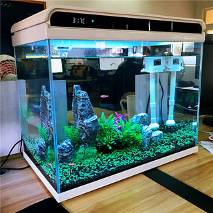 森森超白玻璃鱼缸客厅小型家用水族箱生态免换水，过滤制氧金鱼缸(金鱼缸)