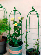 铁线莲花支架阳台花卉支架，可伸缩月季固定支撑杆，爬藤植物绿萝花架