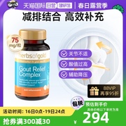 自营澳洲和丽康芹菜籽精华胶囊酸樱桃姜黄素关节保健品西芹籽